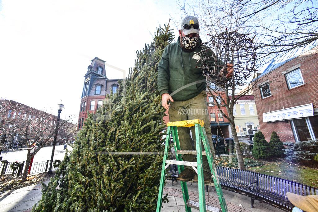 Jacob Rice, a worker from the Retreat Farm, helps with the Christmas tree in Pliny Park, in Brattleboro, Vt., on Tuesday, Nov. 24, 2020, for the holiday season. (Kristopher Radder/The Brattleboro Reformer via AP)