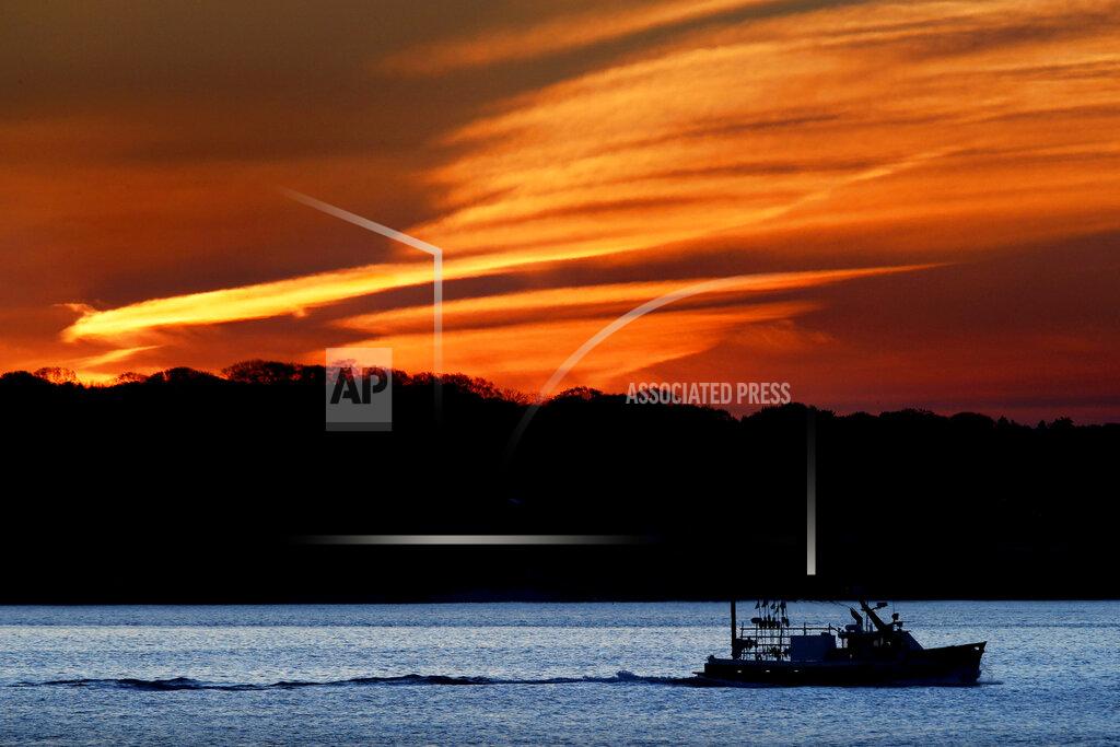 Robert F. Bukaty The lobster boat Deborah & Megan II motors out to sea at dawn, Thursday, May 21, 2020, off South Portland, Maine. The fishing industry is hoping for brighter days as they endure the hardships of a collapsed market due to the ongoing coronavirus pandemic. (AP Photo/Robert F. Bukaty)
