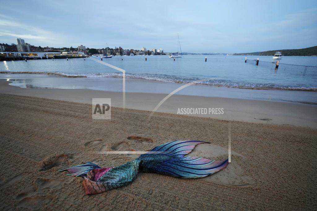 Mark Baker The tail of Lauren Metzler, founder of Sydney Mermaids, lies on the sand as she prepares for an early morning swim at Manly Cove Beach in Sydney, Australia, Thursday, May 26, 2022. "Some people have a coffee in the morning to wake up, some people have a mermaid swim," Metzler says with a laugh as she glides through the water, her skin adorned with sparkly sequins. "This tail is so fun to swim in!" (AP Photo/Mark Baker)