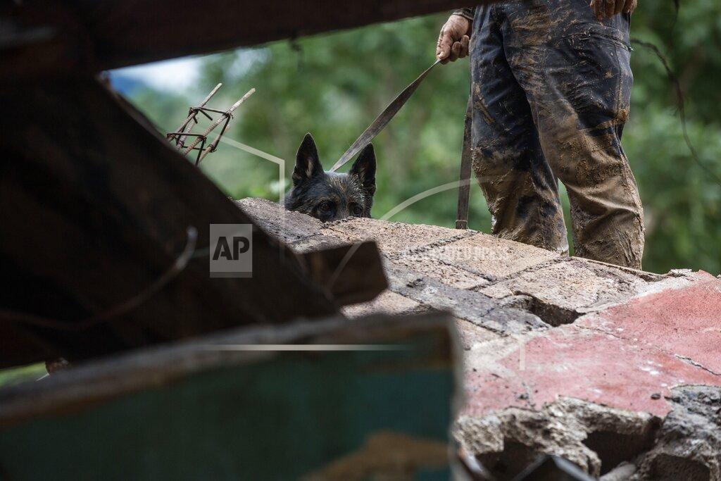 Esteban Biba FILE - In this Nov. 7, 2020 file photo, a rescue dog and his handler search for survivors amid the destruction caused by a massive, rain-fueled landslide in the village of Queja, in Guatemala, in the aftermath of Tropical Storm Eta. The storm made landfall on Nov. 3 in Nicaragua but left a path of death and destruction from Panama to Mexico. (AP Photo/Esteban Biba, File)