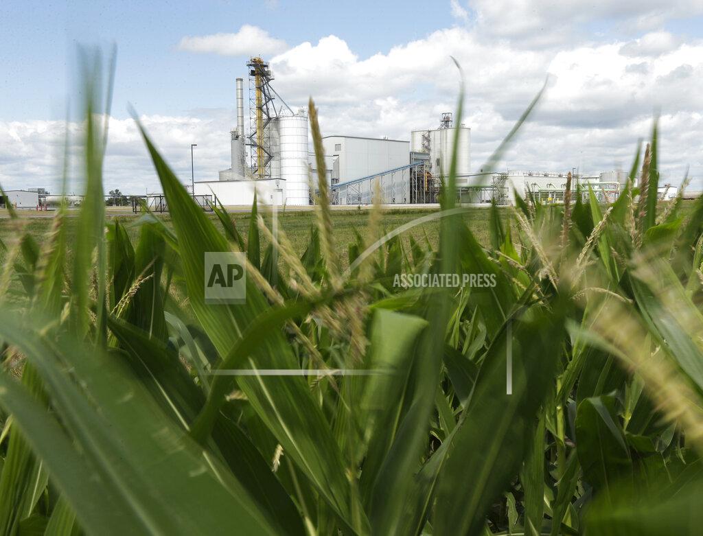 Charlie Riedel FILE - In this July 20, 2013, file photo, an ethanol plant stands next to a cornfield near Nevada, Iowa. The president and auto industry maintain the nation is on the cusp of a gigantic shift to electric vehicles and away from liquid-fueled cars, but biofuels producers and some of their supporters in Congress aren't buying it. They argue that now is the time to increase sales of ethanol and biodiesel, not abandon them. (AP Photo/Charlie Riedel, File)
