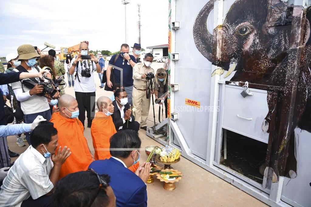 Pool The container holding Kaavan the elephant is blessed by monks during its arrival from Pakistan at the Siem Reap International Airport, Cambodia, Monday, Nov. 30, 2020. Kaavan, dubbed the "world's loneliest elephant" after languishing alone for years in a Pakistani zoo, has arrived in Cambodia where a sanctuary with the much-needed company of other elephants awaits him. (Pool Photo via AP)