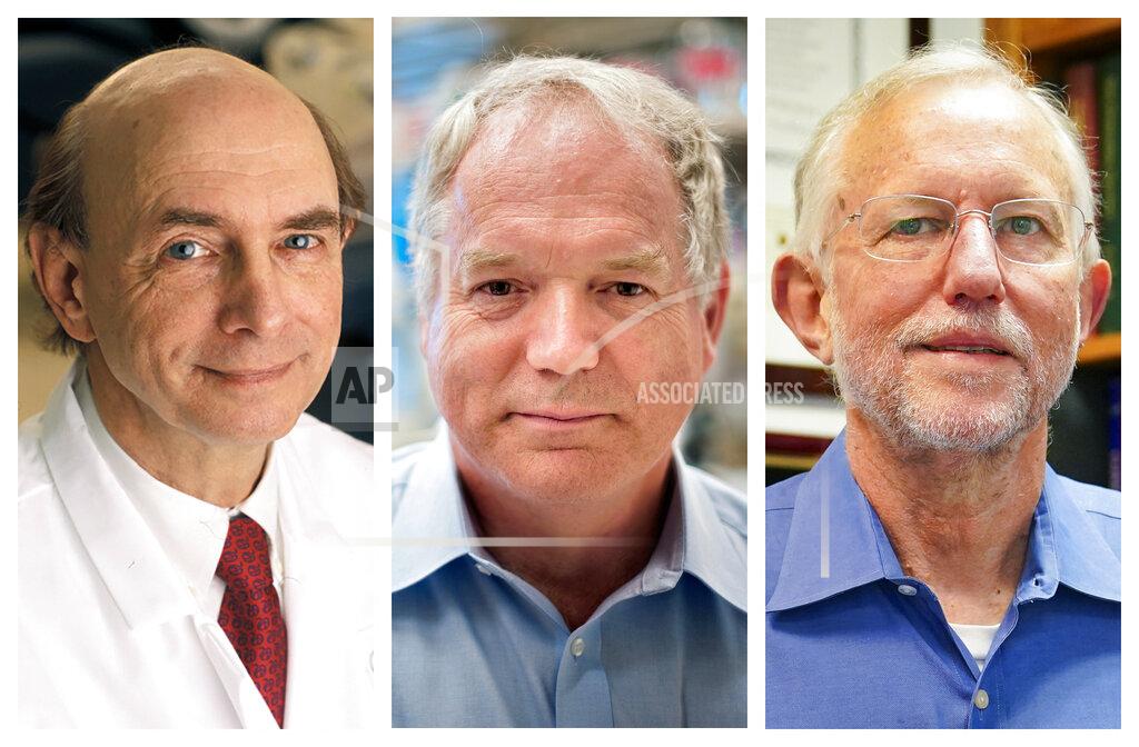 This combination of photos shows, from left, Harvey J. Alter, Charles M. Rice, and Michael Houghton who jointly won the Nobel Prize for medicine on Monday, Oct. 5, 2020, for their discovery of the hepatitis C virus. The major source of liver disease affects millions worldwide. (Rhoda Baer/National Institutes of Health, Richard Siemens/University of Alberta, AP Photo/John Minchillo)