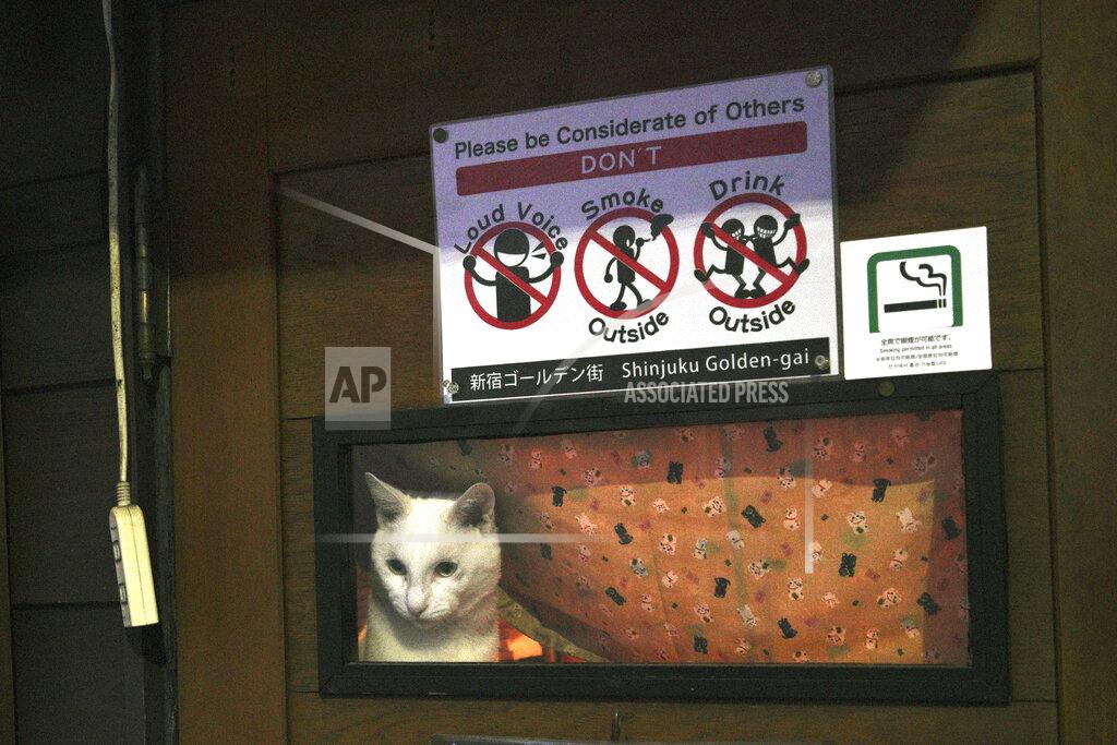 Eugene Hoshiko A cat looks outside from a closed bar at the Kabukicho entertainment district in the Shinjuku Ward in Tokyo, Friday evening, April 24, 2020. Japan's Prime Minister Shinzo Abe expanded a state of emergency to all of Japan from just Tokyo and other urban areas as the virus continues to spread. (AP Photo/Eugene Hoshiko)