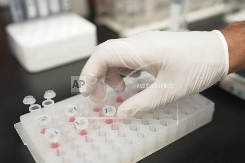 Huy Mach In this image from video provided by Washington University, Nicolas Barthelemy works on a p-tau217 test for Alzheimer's disease at a laboratory in St. Louis, Mo., on Monday, July 27, 2020. Several companies and universities have developed versions of these tests, which look for a form of tau protein, one of the substances that can build up and damage the brains of people with Alzheimer’s. (Huy Mach/University of Washington via AP)