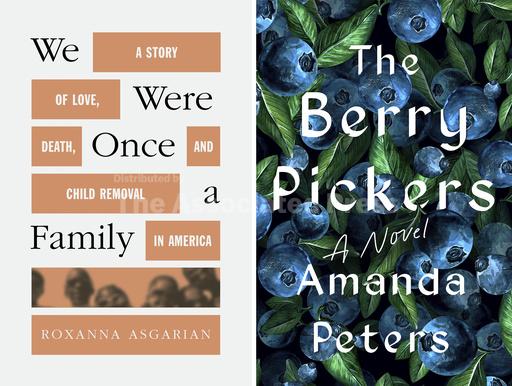 Roxanna Asgarian's 'We Were Once a Family' and Amanda P... - Vimarsana News