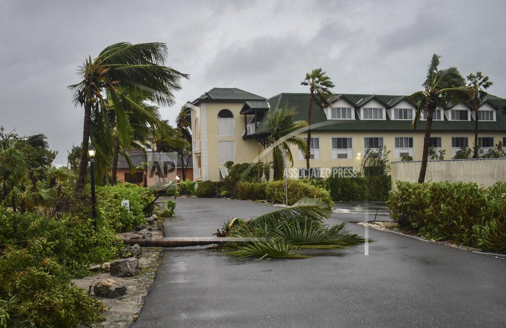 Vivian Tyson Fallen palm trees lay over the Ports of Call Resort entrance after the passage of Hurricane Fiona in Providenciales, Turks and Caicos Islands, Tuesday, Sept. 20, 2022. (AP Photo/Vivian Tyson)