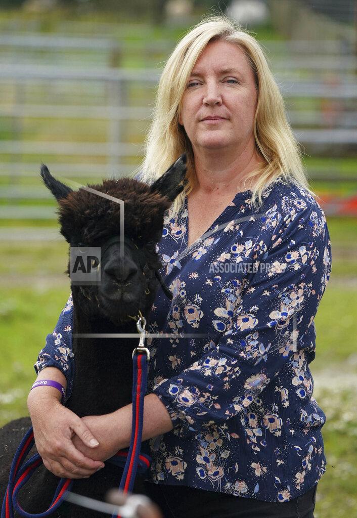Andrew Matthews Helen Macdonald poses for a photograph with Geronimo the alpaca at Shepherds Close Farm in Wooton Under Edge, England, Wednesday Aug. 25, 2021. Geronimo has twice tested positive for bovine tuberculosis and, as a result, the government Department for Environment, Food and Rural Affairs (Defra) has ordered Geronimo to be euthanised. Macdonald, who imported the alpaca from New Zealand, believes the tests are returning false positives, but has been refused permission to have him tested a third time. (Andrew Matthews/PA via AP)