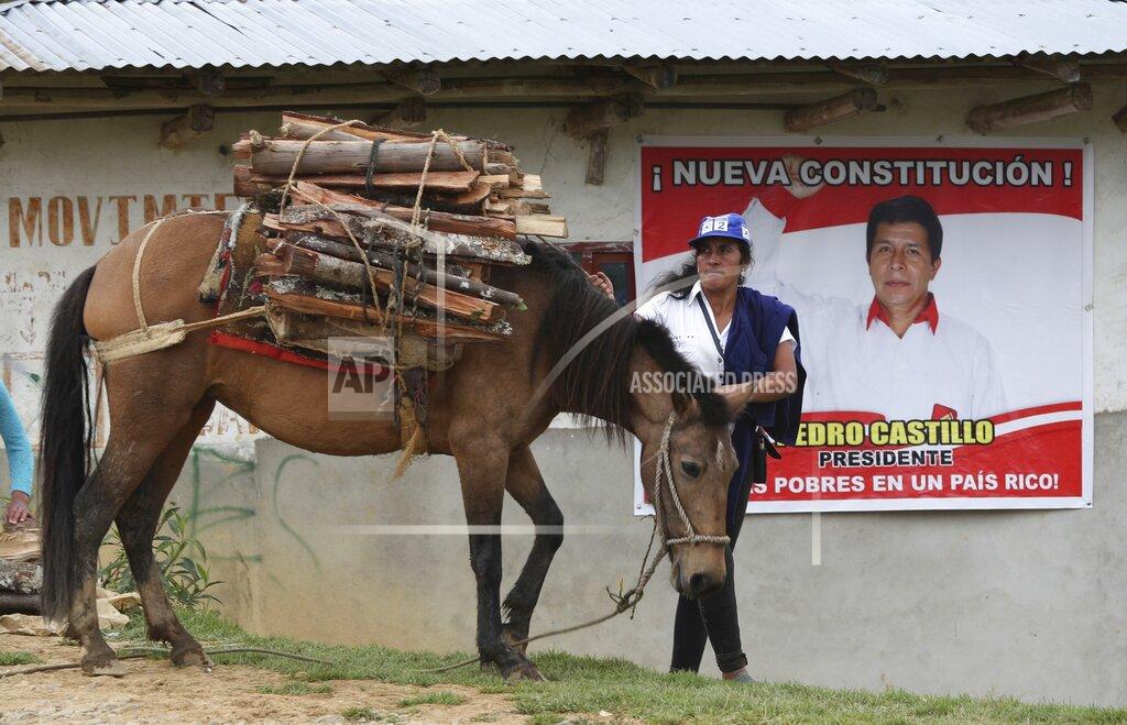 Martin Mejia A woman walks her horse carrying firewood past a home decorated with a poster of Free Peru party presidential candidate Pedro Castillo in Puna, Peru, Friday, April 16, 2021. Castillo, a rural teacher, who has proposed rewriting Peru's constitution and deporting all immigrants living in the country illegally who commit crimes, will face rival candidate Keiko Fujimori in the June 6 presidential run-off election. (AP Photo/Martin Mejia)