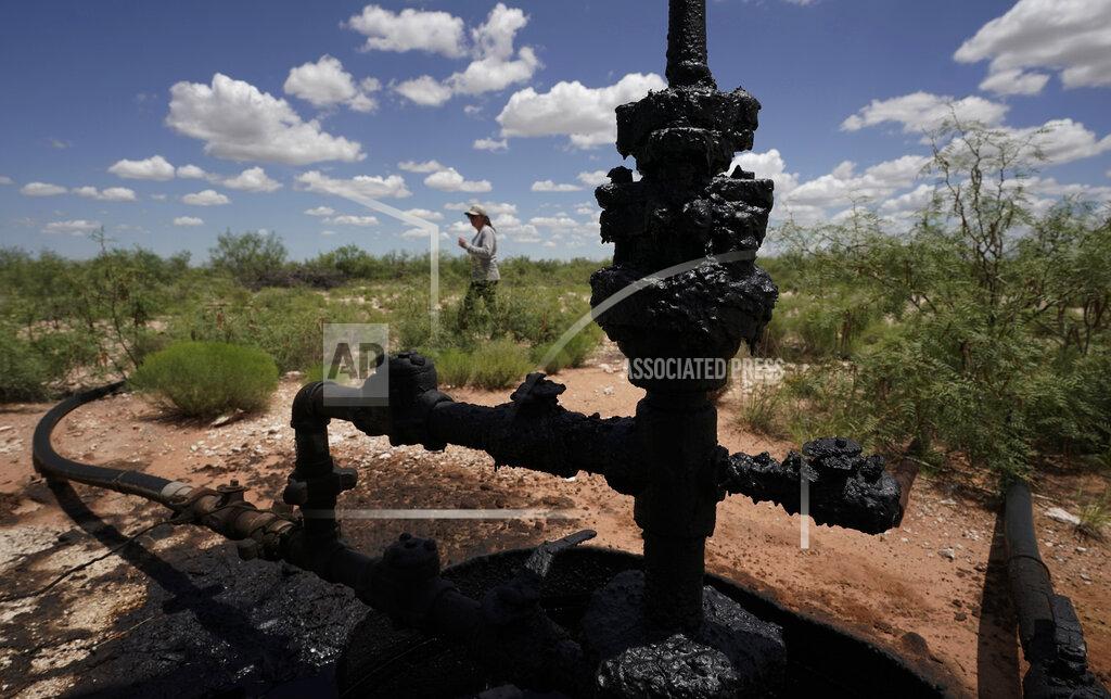 Eric Gay Ashley Williams Watt walks near a wellhead and flowline at her ranch, Friday, July 9, 2021, near Crane, Texas. The wells on Watt's property seem to be unplugging themselves. Some are leaking dangerous chemicals into the ground, which are seeping into her cattle's drinking water. And she doesn't know how long it's been going on. (AP Photo/Eric Gay)