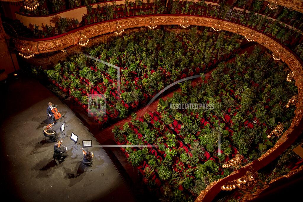 Emilio Morenatti Musicians rehearse at the Gran Teatre del Liceu in Barcelona, Spain, Monday, June 22, 2020. The Gran Teatre del Liceu reopens its doors, in which the 2,292 seats of the auditorium will be occupied on this occasion by plants. It will be on 22 June, broadcast live online, when the UceLi Quartet string quartet performs Puccini's "Crisantemi" for this verdant public, brought in from local nurseries. (AP Photo/Emilio Morenatti)