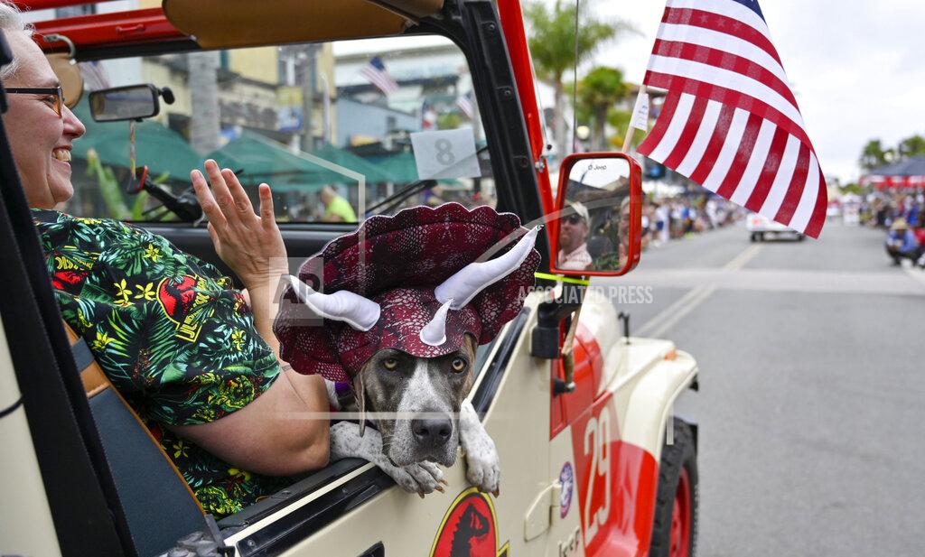 Jeff Gritchen A dog dressed as a dinosaur sits in a Jurassic Park Jeep on Main Street during the 118th Huntington Beach 4th of July Parade in Huntington Beach, Calif., on Monday, July 4, 2022. (Jeff Gritchen/The Orange County Register via AP)