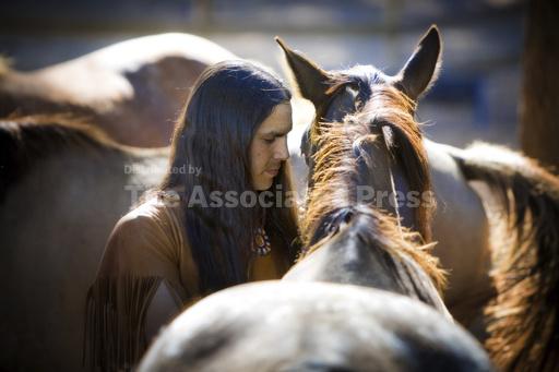 Horses came to American West by early 1600s, study find... - Vimarsana News