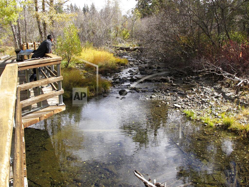 Scott Sonner A man gazes into Taylor Creek where low water has all but cut off the kokanee salmon's migration route upstream from Lake Tahoe Wednesday, Oct. 20, 2021 west of South Lake Tahoe, Calif. Drought fueled by climate change has dropped Lake Tahoe below its natural rim and halted flows into the Truckee River, an historically cyclical event that's occurring sooner and more often than it used to raising fears about what might be in store for the famed alpine lake. (AP Photo/Scott Sonner).