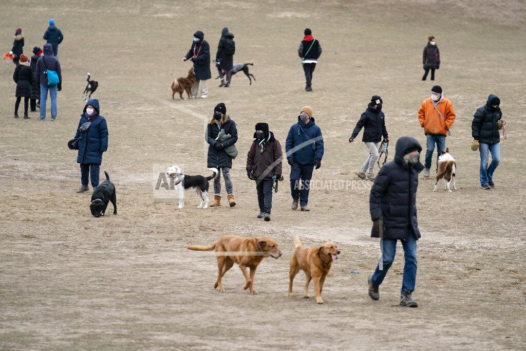 John Minchillo Dogs and their owners play in Prospect Park's Long Meadow during off-leash hours, Sunday, Jan. 31, 2021, in the Brooklyn borough of New York. Go to any dog park right now and you’ll probably find lively pandemic puppies, along with new owners learning the ins and outs of off-leash play. One of the silver linings of the pandemic is that many people are discovering the joys of dog ownership. AP Photo/John Minchillo)