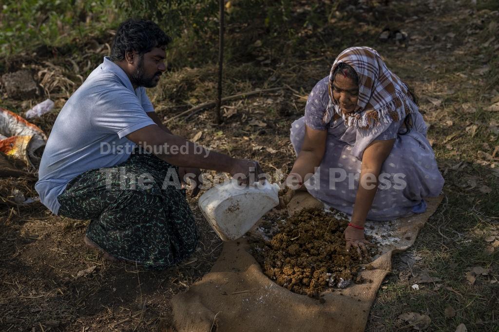 Farmers in India are hit hard by extreme weather. Some say expanding ...