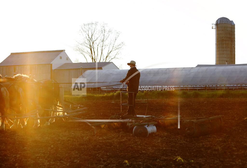 Jessie Wardarski As the sun sets, James, 20, plows a field on his family's farm, Monday, May 4, 2020, in Ephrata, Pa. James and his family are members of the Old Order Stauffer Mennonite Church. They believe in pacifism, reject child baptisms and live plainly, eschewing modern technology. (AP Photo/Jessie Wardarski)