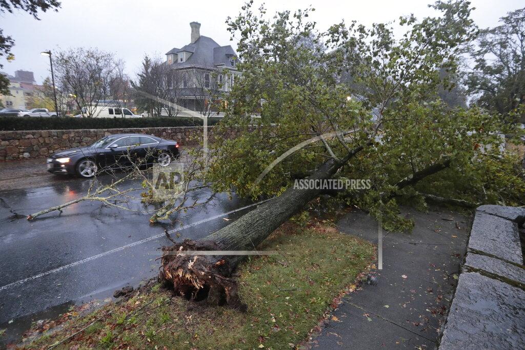 Peter Pereira A car drives past a downed tree on Hawthorn Street in New Bedford, Mass. on Wednesday, Oct. 27, 2021 as a nor'easter slams into the region. (Peter Pereira/The Standard-Times via AP)