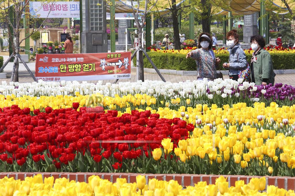 Ahn Young-Joon Women wearing face masks as a precaution against the coronavirus watch tulips at a park in Goyang, South Korea, Tuesday, April 20, 2021. The banner, bottom left, reads "One-way passage to overcome Corona 19 and 2 meters away." (AP Photo/Ahn Young-joon)
