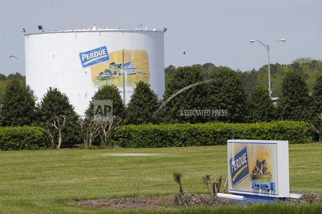Steve Helber CORRECTS SPELLING TO PERDUE NOT PURDUE Local hospital officials have reported a spike in COVID-19 cases at the Perdue poultry processing plant on the Eastern Shore Wednesday April 29, 2020, in Accomac, Va. Coronavirus cases among workers at poultry plants on Virginia's Eastern Shore have become an increasing concern for local health officials. (AP Photo/Steve Helber)