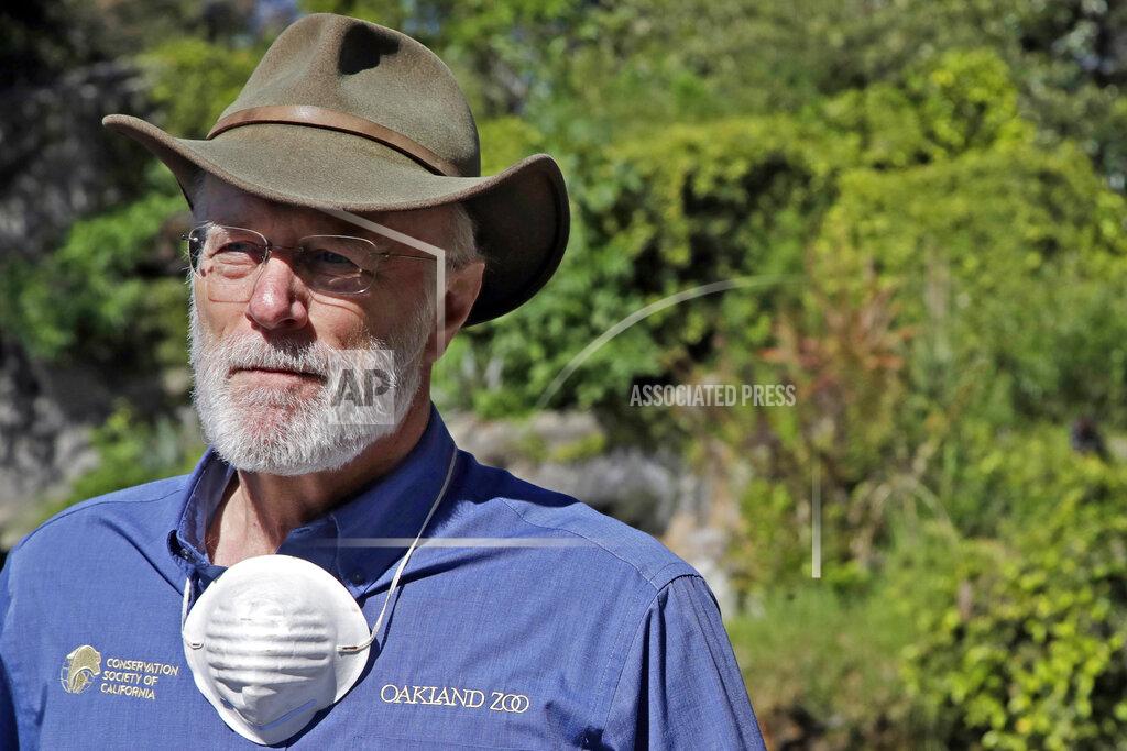 Dr. Joel Parrott, President and CEO of the Oakland Zoo, talks about the struggles the zoo has faced in the coronavirus threat during an interview in Oakland, Calif., on April 14, 2020. Zoos and aquariums from Florida to Alaska are struggling financially because of closures due to the coronavirus pandemic. "We have already lost the bulk of our summer revenue and are living off whatever reserves we have left, but they are going to run out at some point," said Parrott. (AP Photo/Ben Margot)