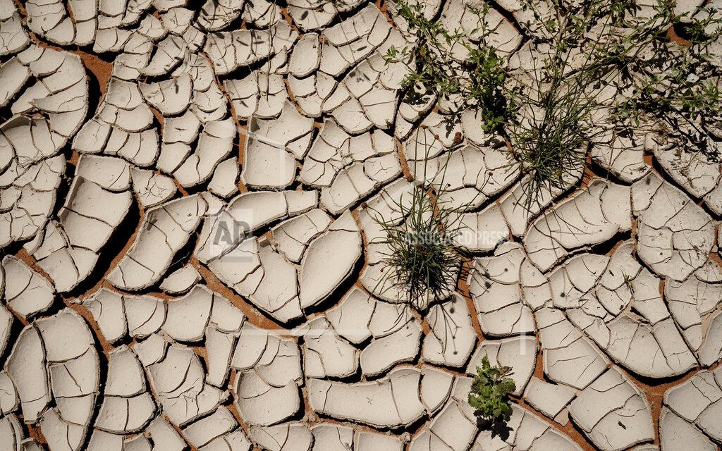 Eric Gay Brine-covered soil cracks as it dries in the hot sun on Ashley Williams Watt's cattle ranch Friday, July 9, 2021, near Crane, Texas. The disaster unfolding on Watt's ranch offers a window into a growing problem for the oil industry and the communities and governments who are often left to clean up the mess. (AP Photo/Eric Gay)