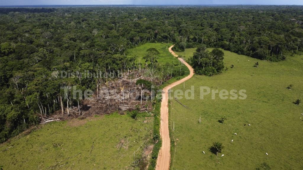Brazil's Lula lays out plan to halt Amazon deforestatio... - Vimarsana News
