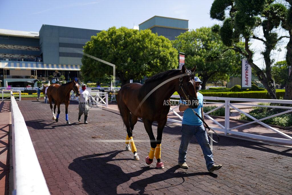 Ashley Landis In this Friday, May 22, 2020 photo, grooms wearing face masks lead horses to the paddock at Santa Anita Park in Arcadia, Calif. Horse racing returned to the track after being idled for one and a half months because of public health officials' concerns about the coronavirus pandemic. (AP Photo/Ashley Landis)