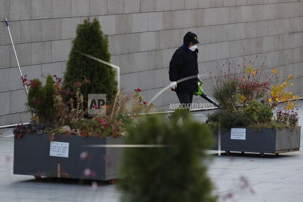 Lee Jin-Man A man wearing a face mask to help curb the spread of the coronavirus cleans fallen leaves in downtown Seoul, South Korea, Monday, Nov. 23, 2020. (AP Photo/Lee Jin-man)