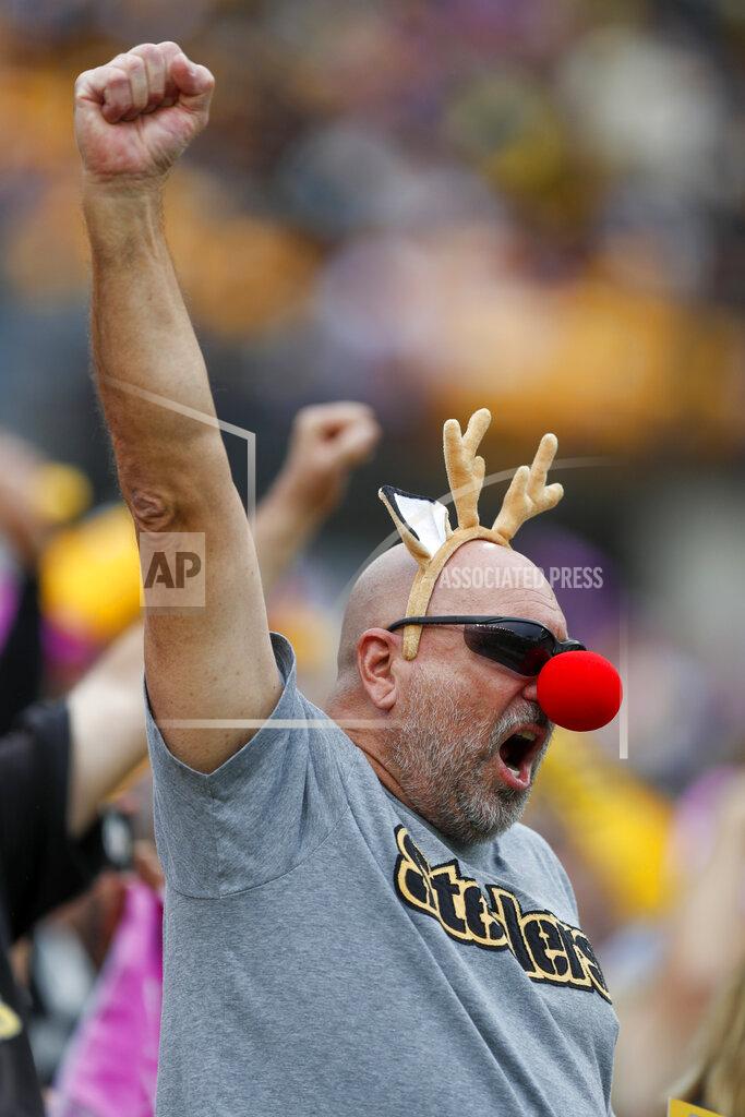 Don Wright A fan wears a red nose and antlers as he cheers Pittsburgh Steelers quarterback Mason Rudolph before an NFL football game against the Baltimore Ravens, Sunday, Oct. 6, 2019, in Pittsburgh. (AP Photo/Don Wright)