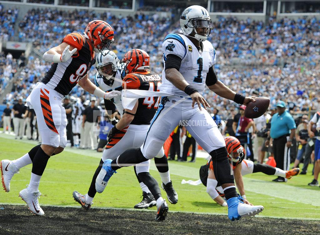 Bengals Panthers Football
