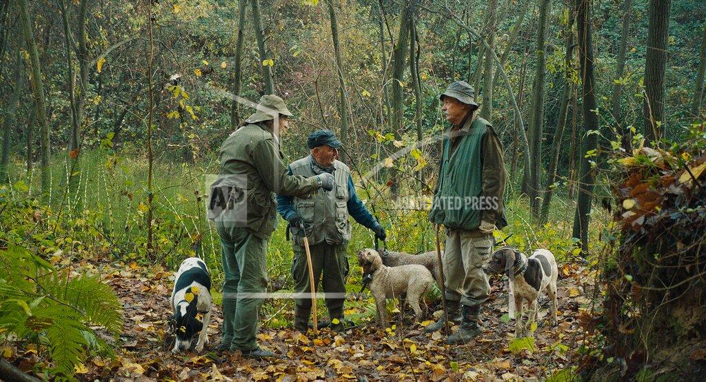 This image released by Sony Pictures Classics shows a scene from