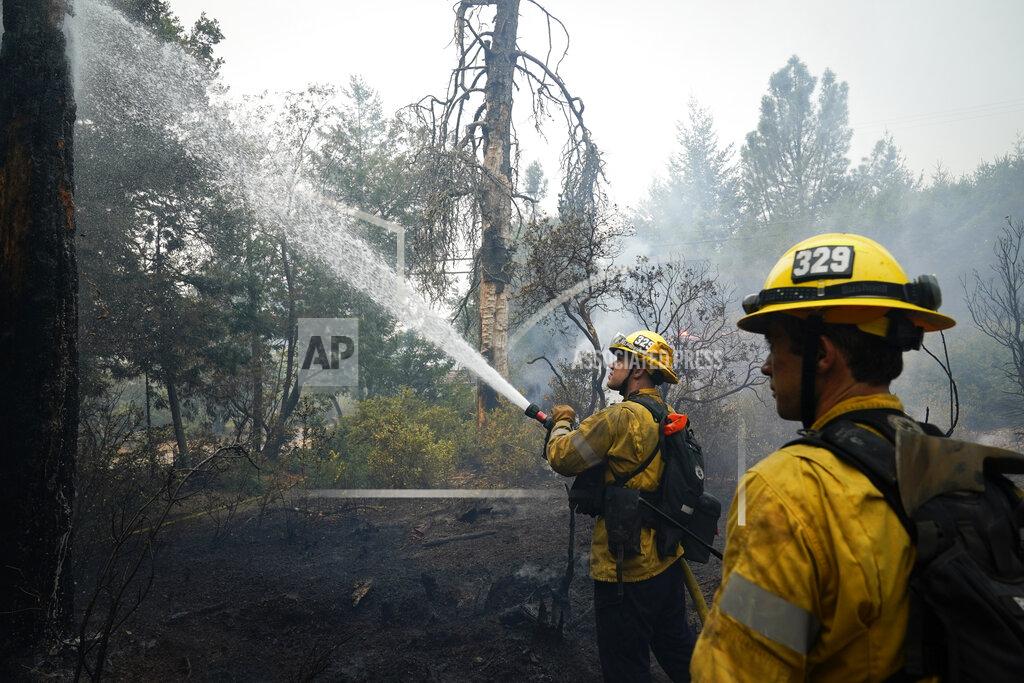 Members of the Glendale, Calif., Fire Department hose down hot spots along Empire Grade Rd. after the CZU August Lightning Complex Fire went through, Friday, Aug. 21, 2020, in Bonny Doon, Calif. (AP Photo/Marcio Jose Sanchez)