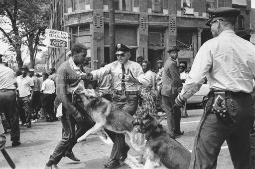 Police dog's attack on Black trucker in Ohio echoes his... - Vimarsana News