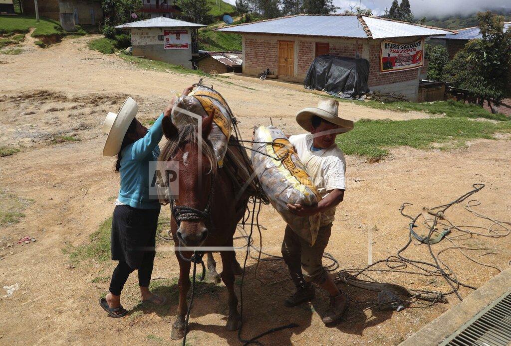Martin Mejia A man unloads a bag of potatoes in Puna, Peru, the town where Free Peru party presidential candidate Pedro Castillo works as a teacher and where his parents live, Friday, April 16, 2021. Castillo, who has proposed rewriting Peru's constitution and deporting all immigrants living in the country illegally who commit crimes, will face rival candidate Keiko Fujimori in the June 6 presidential run-off election. (AP Photo/Martin Mejia)