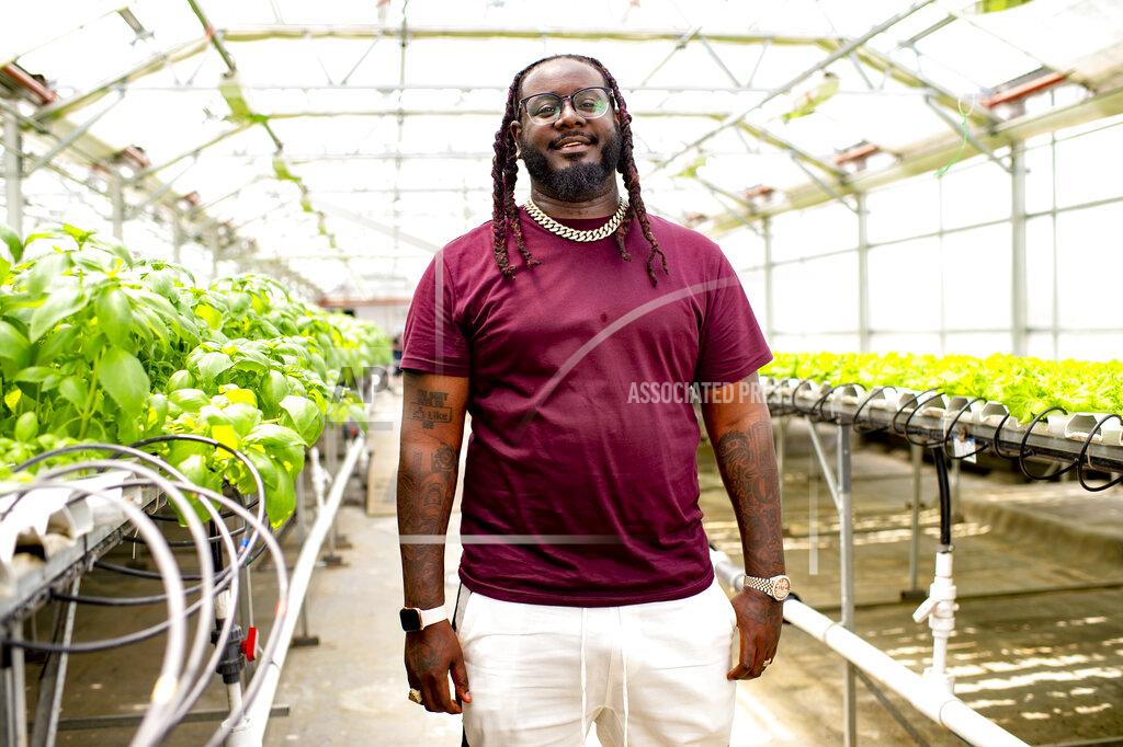 Scott Gries FILE - T-Pain, host of "T-Pain's School of Business," posing for a portrait at Gotham Greens in the Brooklyn borough of New York. The rapper turns 37 on Sept. 30. (Photo by Scott Gries/Invision/AP)
