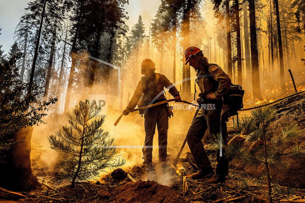 Noah Berger FILE - In this Sept. 19, 2021, file photo firefighter Austin Cia sprays water as the Windy Fire burns in the Trail of 100 Giants grove in Sequoia National Forest, Calif. California Gov. Gavin Newsom on Thursday, Sept. 23, 2021, approved nearly $1 billion in new spending to prevent wildfires, signaling a policy shift in a state that historically focused more on putting out fires than stopping them before they start. (AP Photo/Noah Berger, File)
