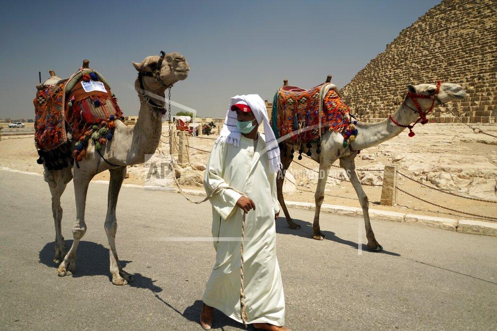 Hamada Elrasam A camel guide wears a surgical mask while pulling his camel at the Giza Pyramids in Giza, Egypt, Wednesday, July 1, 2020. Egypt has reopened its airports, the Egyptian museum and the famed Giza Pyramids in Cairo, for the first time in more than three months since the coronavirus closure. (AP Photo/Hamada Elrasam)