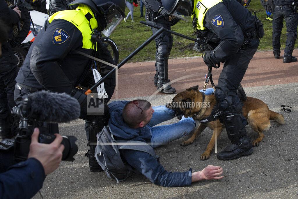 Peter Dejong Dutch riot police arrest a man during a demonstration to protest government policies including the curfew, lockdown and coronavirus related restrictions in The Hague, Netherlands, Sunday, March 14, 2021. Thousands of people took part in the rally ahead of three days of voting starting Monday in a general election. (AP Photo/Peter Dejong)