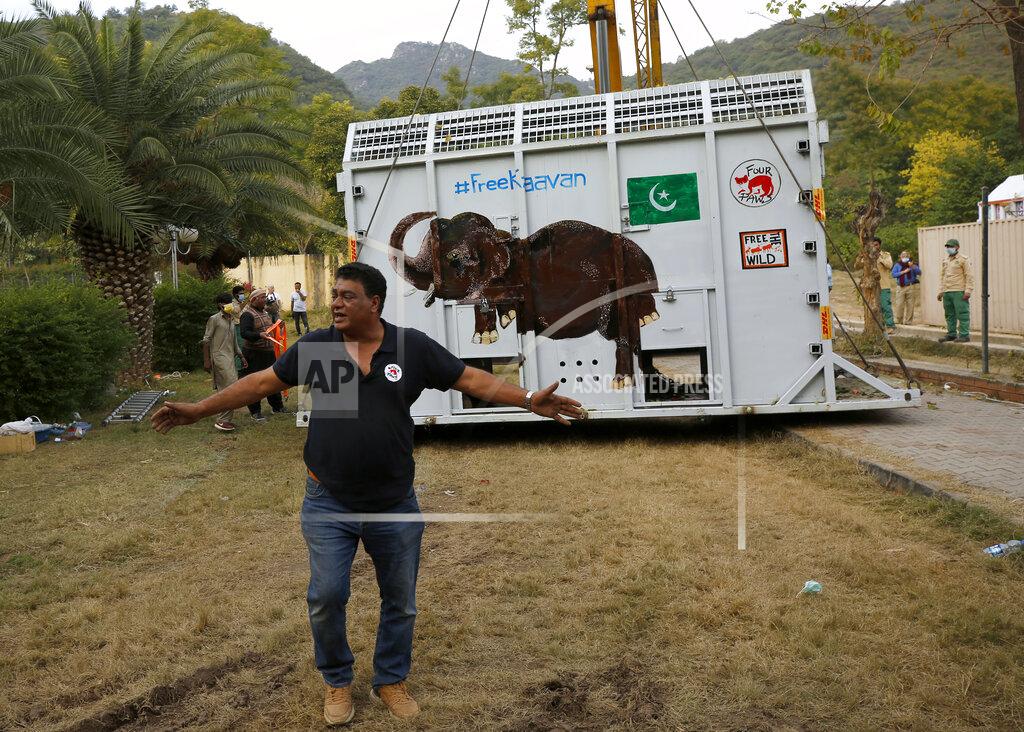 Anjum Naveed Dr. Amir Khalil, a veterinarian from the international animal welfare organization Four Paws, asks members of the media to stay away from a crate carrying an elephant named Kaavan before transporting him to a sanctuary in Cambodia, at the Marghazar Zoo in Islamabad, Pakistan, Sunday, Nov. 29, 2020. Kavaan, the world's loneliest elephant, who became a cause celebre in part because America's iconic singer and actress Cher joined the battle to save him from his desperate conditions at the zoo. (AP Photo/Anjum Naveed)