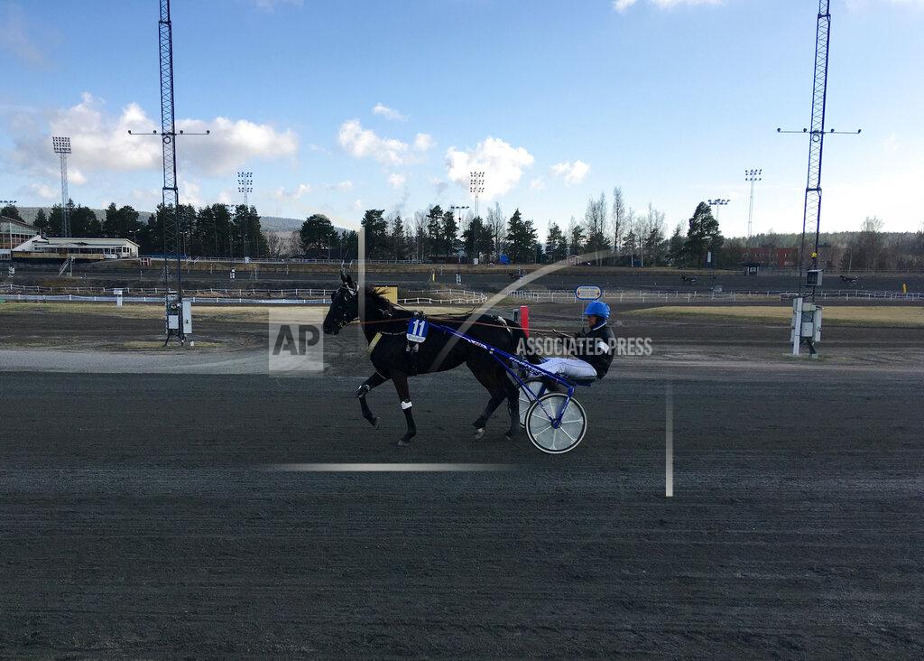 Steve Douglas In this photo taken on Thursday, April 30, 2020, Henrik Sundberg rides horse Millimina at Bergsaker racecourse in Vasternorrland, Sweden. Swedish trotting is one of only a handful of European sports to have persevered during the coronavirus outbreak while competitions elsewhere shut down across the continent. That’s not just good news for the 40,000 people working in the equestrian sector in Sweden. It’s something of a savior for betting companies and gamblers around the world who have been starved of their usual diet of top-class sport in Europe. (AP Photo/Steve Douglas)
