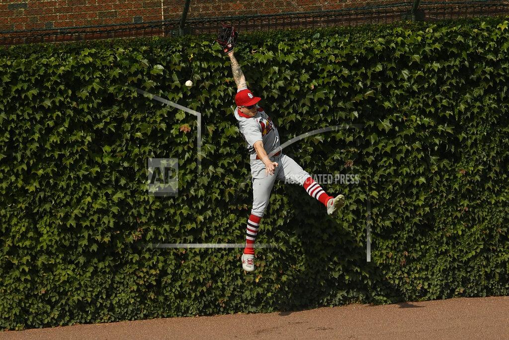 Paul Beaty St. Louis Cardinals left fielder Tyler O'Neill misses a double by Chicago Cubs' Ian Happ during the first inning of a baseball game Monday, Sept. 7, 2020, in Chicago. (AP Photo/Paul Beaty)