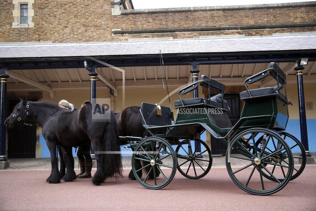 Steve Parsons Britain's Prince Philip The Duke of Edinburgh's driving carriage and his two Fell ponies, named Balmoral Nevis and Notlaw Storm, pictured at Windsor Castle, Windsor, England, Friday April 16, 2021. Prince Philip's love of carriage-driving is to be a central feature of his funeral on upcoming Saturday April 17, when the carriage and ponies will be present with two of his grooms in the Quadrangle of Windsor Castle during the procession. The four wheeled carriage was designed by Prince Philip eight years ago. Prince Philip died at the age of 99 on April 9. (Steve Parsons/Pool via AP)