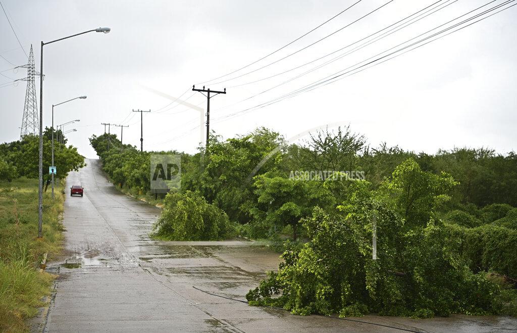 Roberto Echeagaray Fallen trees lay on the side of a road after the passing of Hurricane Pamela in Mazatlan, Mexico, Wednesday, Oct. 13, 2021. Pamela made landfall on Mexico's Pacific coast just north of Mazatlan on Wednesday, bringing high winds and rain to the port city. (AP Photo/Roberto Echeagaray)