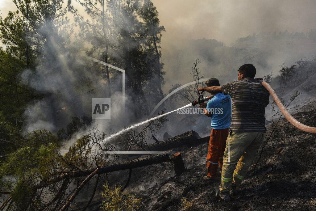 Uncredited Villagers water trees to stop the wildfires that continue to rage the forests in Manavgat, Antalya, Turkey, early Sunday, Aug. 1, 2021. The fires in Antalya were continuing overnight in Manavgat and Gundogmus districts. In Bodrum, Mugla, they continued to burn down forests, encroaching on villages and tourist destinations and forcing people to evacuate by boats. (AP Photo)