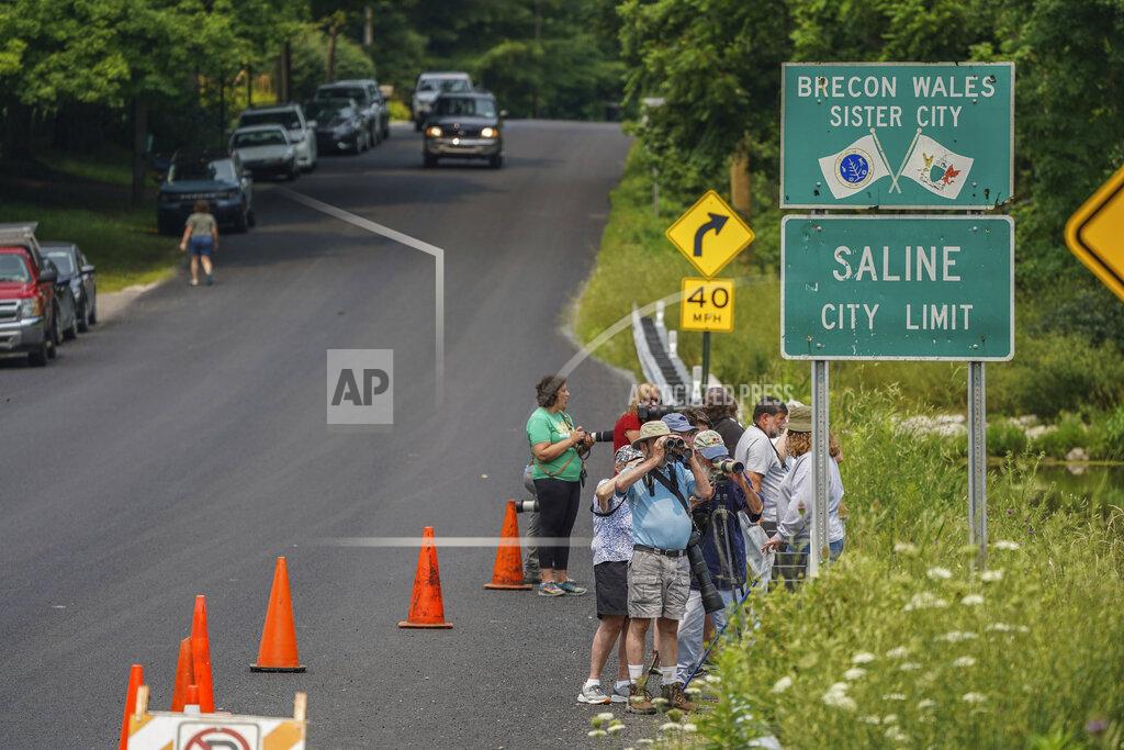 Ryan Garza People line the roadway along the Koch Warner Drain on Saline-Milan Road in Saline, Mich., on Monday, July 19, 2021 with their cameras and binoculars while trying to get a look at a roseate spoonbill that has been hanging out in the waterway. The bird typically lives in the Gulf Coast region. (Ryan Garza/Detroit Free Press via AP)