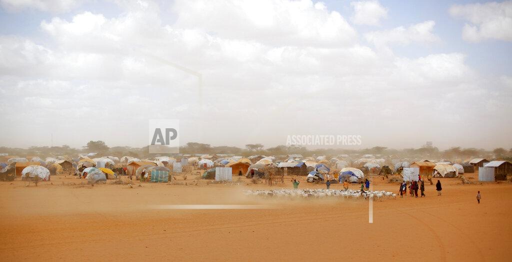 Jerome Delay FILE - In this Aug. 7, 2011 file photo, Somali refugees herd their goats at the Ifo refugee camp outside Dadaab, eastern Kenya, 100 kilometers (62 miles) from the Somali border. Climate change could push more than 200 million people to move within their own countries in the next three decades and create migration hotspots unless urgent action is taken in the coming years to reduce global emissions and bridge the development gap, a World Bank report has found. The report published on Monday, Sept. 13, 2021 examines how long-term impacts of climate change such as water scarcity, decreasing crop productivity and rising sea levels could lead to millions of what the report describes as “climate migrants” by 2050. (AP Photo/Jerome Delay, File)