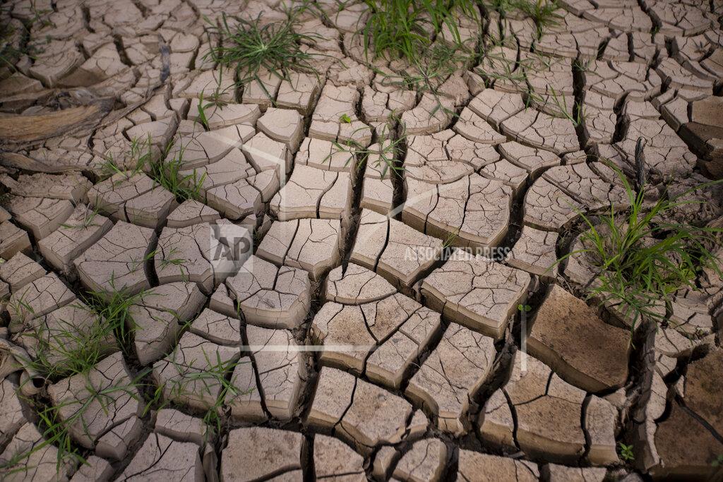 Moises Castillo Dry, cracked mud covers a banana field destroyed by last year's hurricanes Eta and Iota in La Lima, on the outskirts of San Pedro Sula, Honduras, Wednesday, Jan. 13, 2021. The Sula Valley, Honduras’ most agriculturally productive, was so heavily damaged that international organizations have warned of a food crisis. (AP Photo/Moises Castillo)