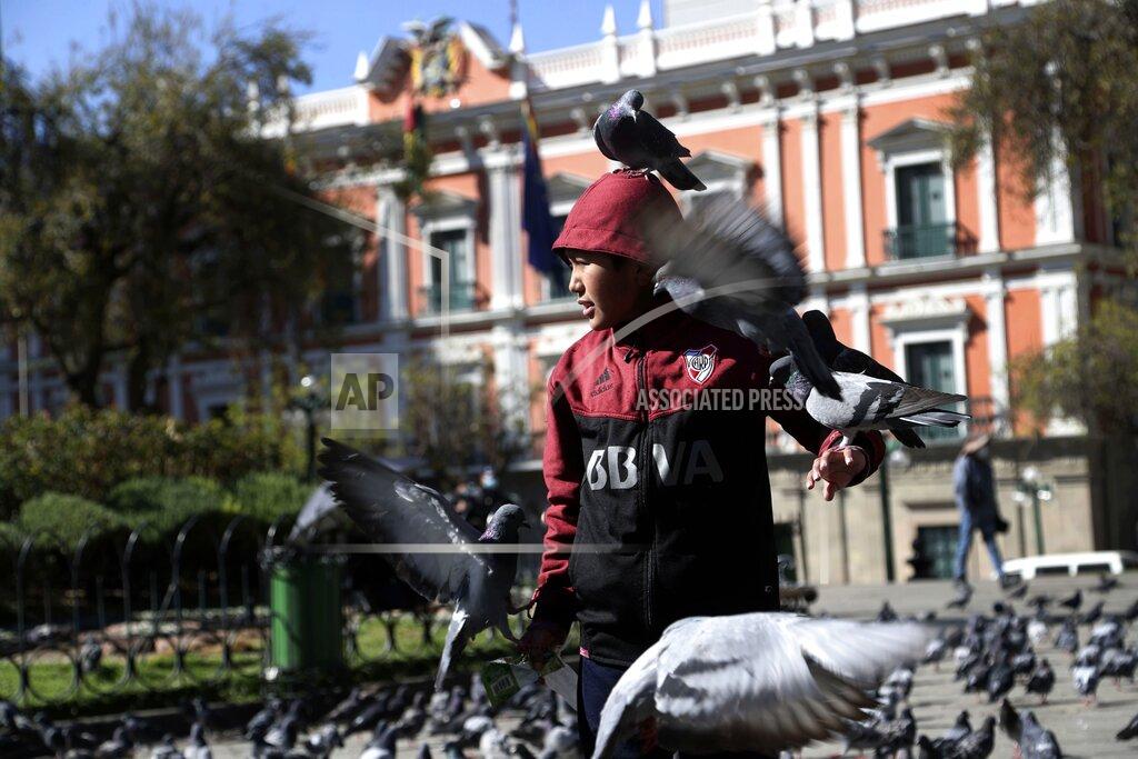 Martin Mejia A youth plays with birds in Plaza Murillo where the Cathedral and government offices are located in La Paz, Bolivia, Monday, Oct. 19, 2020, the morning after general elections. Results trickled in from Bolivia’s presidential election, a high-stakes redo of last year’s annulled ballot that saw president Evo Morales resign and flee the country. (AP Photo/Martin Mejia)