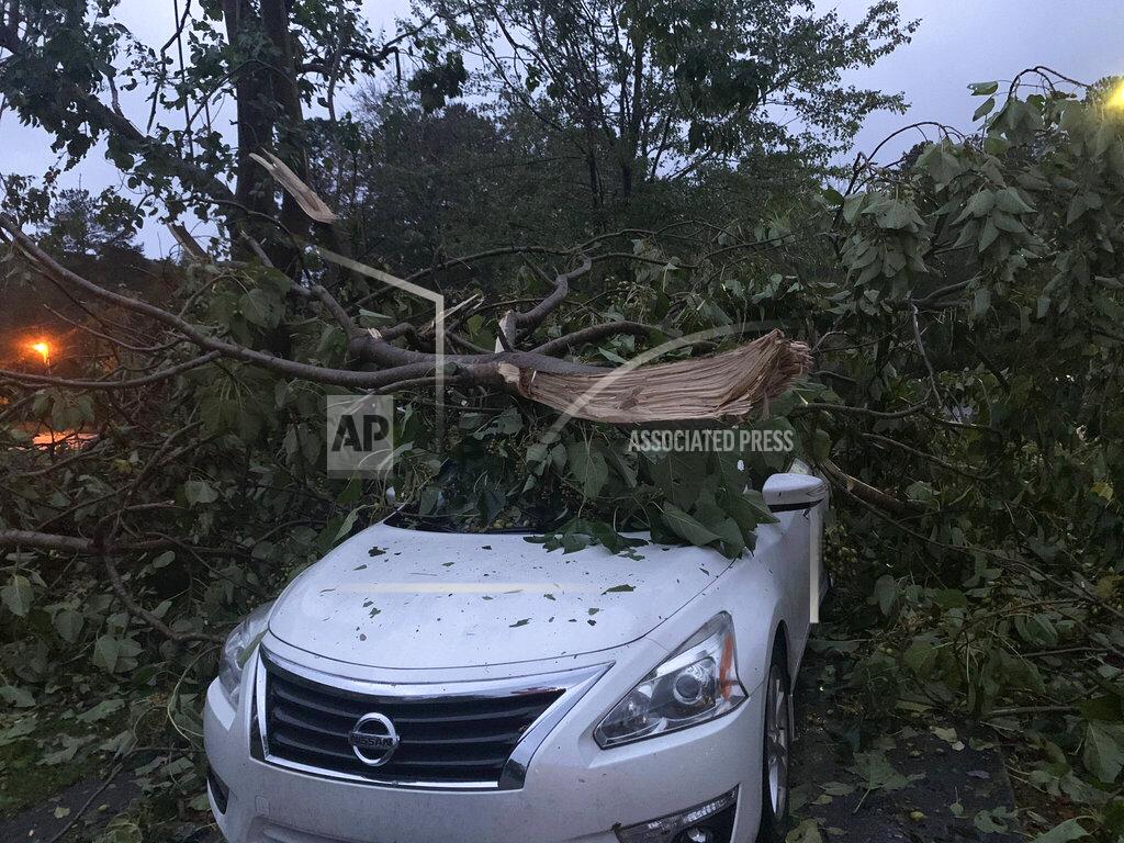 Cameron Keith A toppled tree lays on top of a car in Talladega, Ala., on Thursday, Oct. 29, 2020, as Tropical Storm Zeta sped across the Southeast. (Cameron Keith via AP)